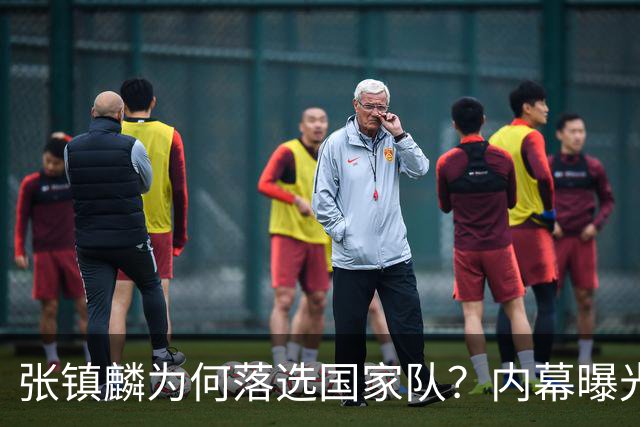 张镇麟为何落选国家队？内幕曝光，叫人心疼，郭士强并没放弃他